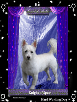 Patricia Ridenour_The Knight of Spots_The Doggy Tarot